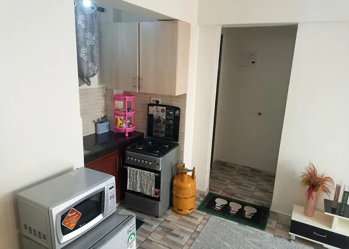 Homely Studio Apartment 2