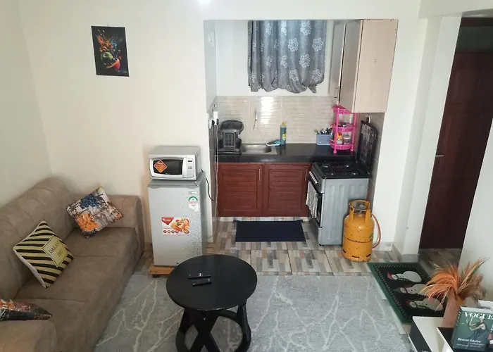 Homely Studio Apartment 2