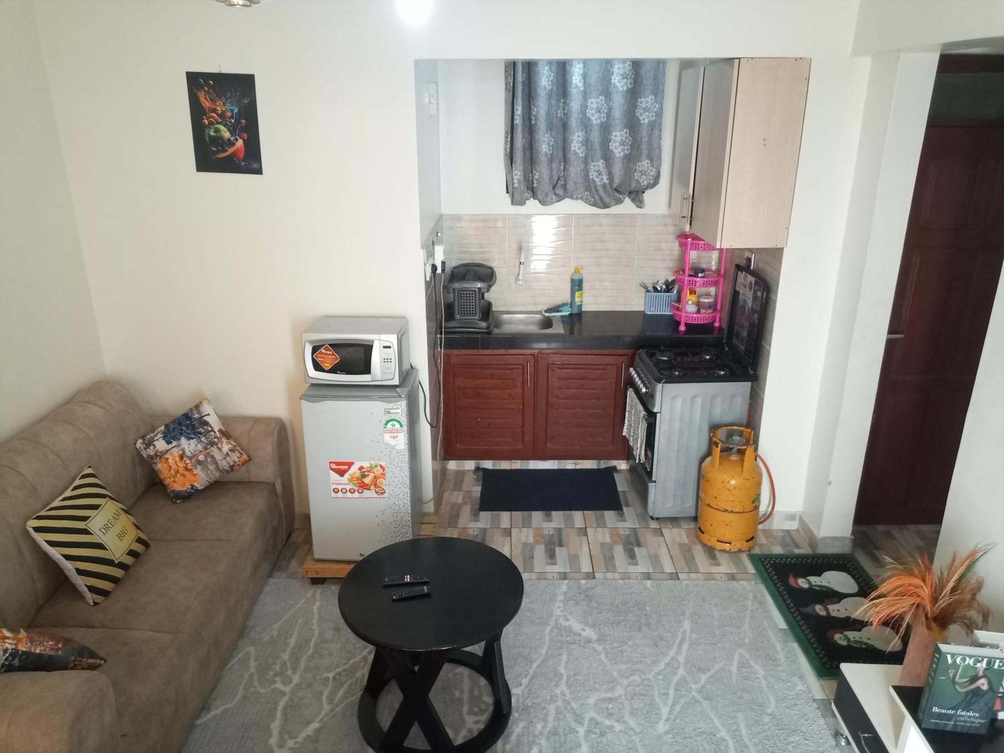 Apartment Homely 2 *